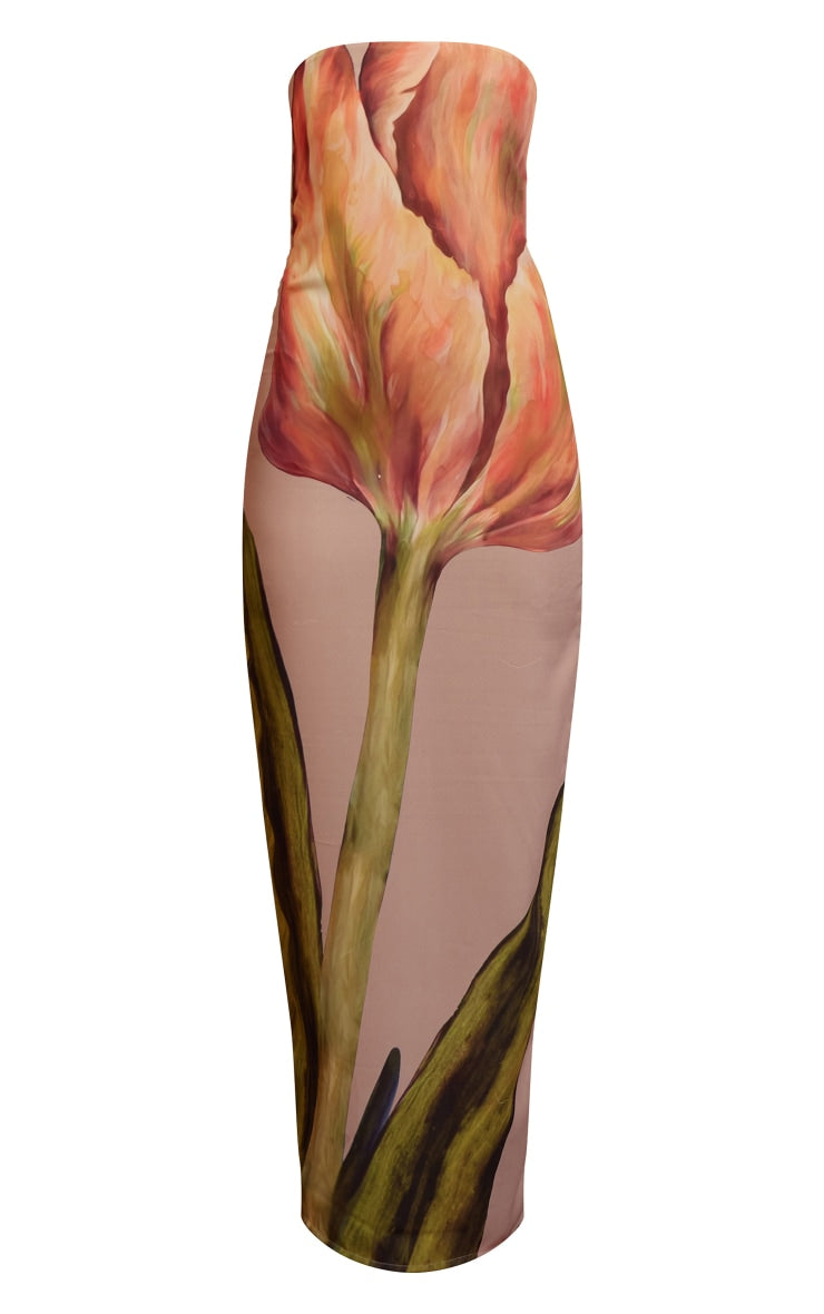 Stone Oversized Chiffon Floral Print Bandeau Maxi Dress