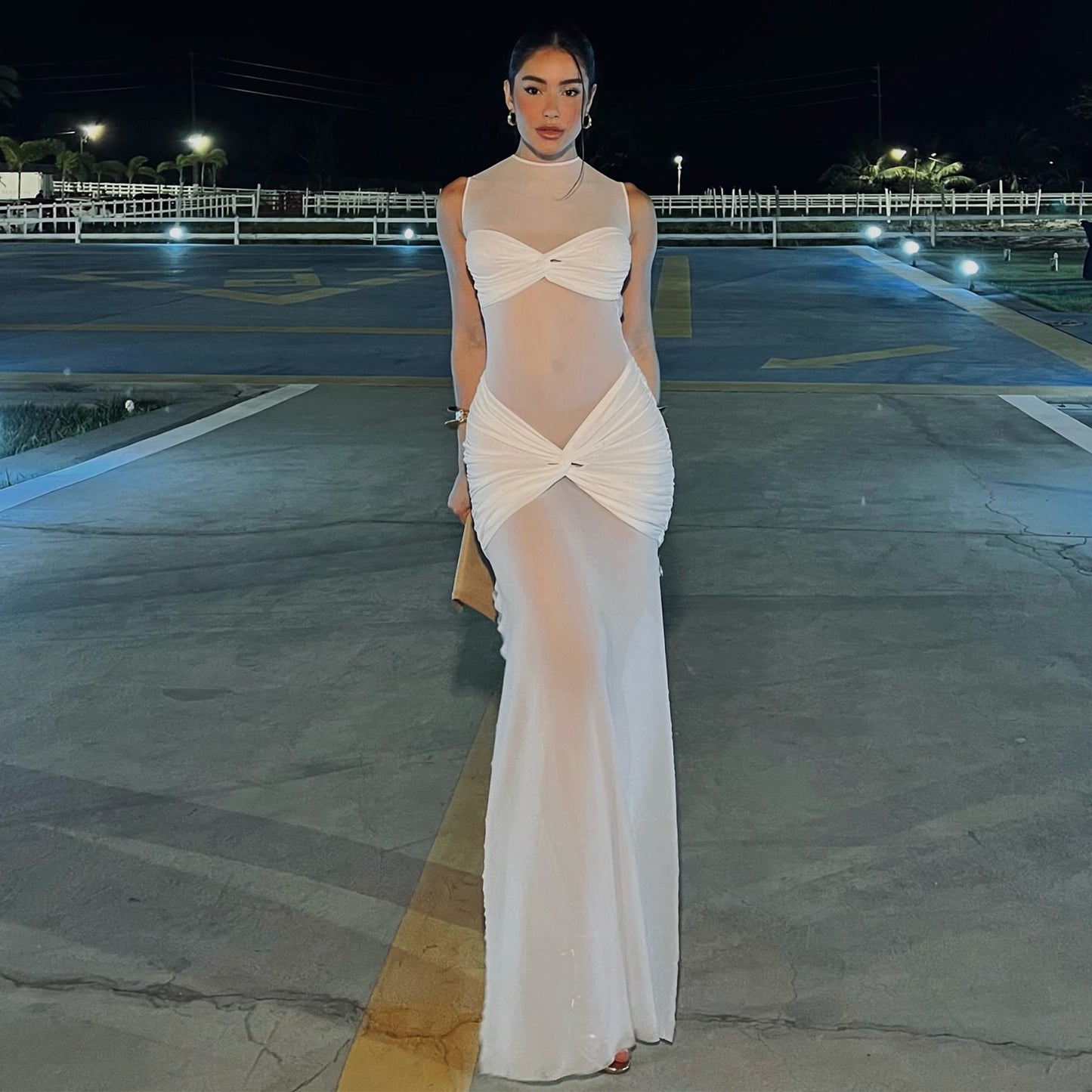 Sheer Mesh Sexy Solid Color Sheath Women Dress