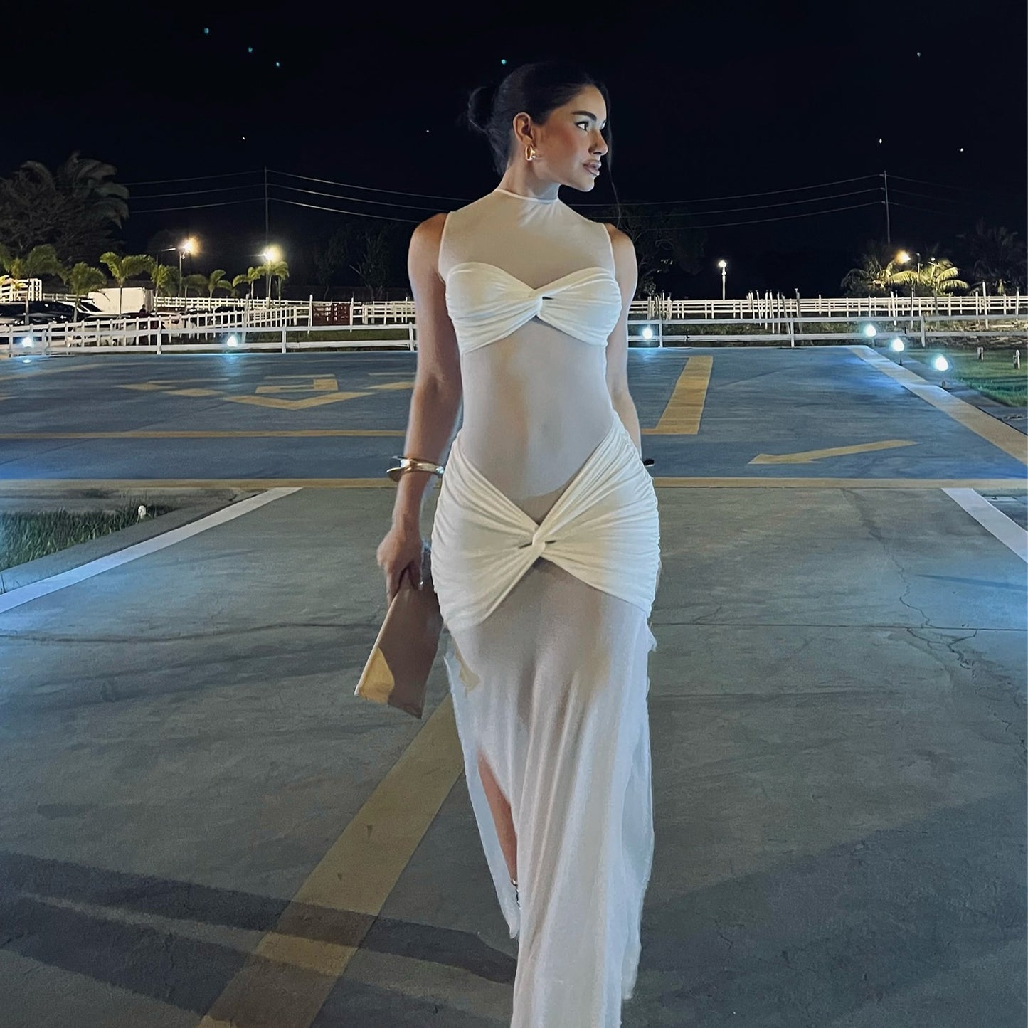 Sheer Mesh Sexy Solid Color Sheath Women Dress