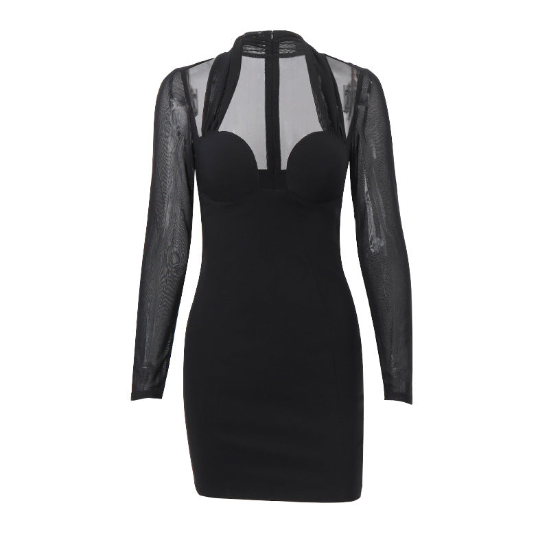 Elegant Mesh Long Sleeve Bodycon Dress