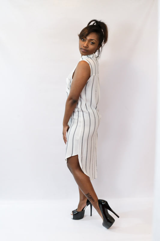 Sleeveless Shirt Dress