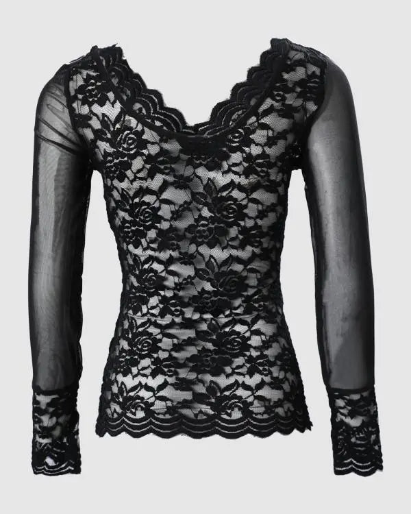 Embroidery Sheer Mesh Lace Long Sleeve Top