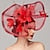 Flowers Feather Headpiece Kentucky Derby Hat